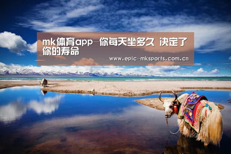 mk sports