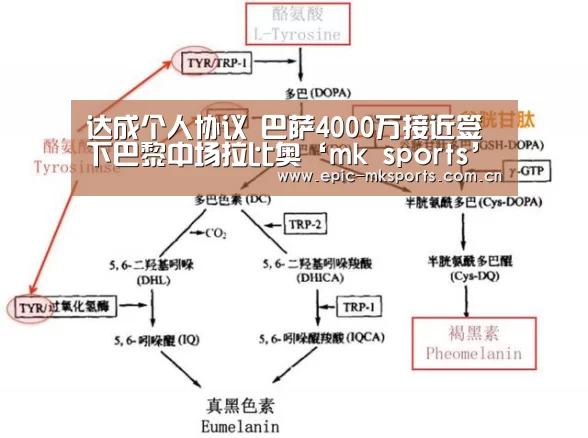 mk体育下载